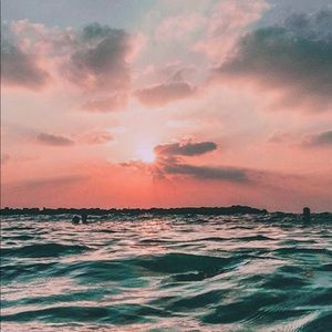 Meet your Posher, Sydney